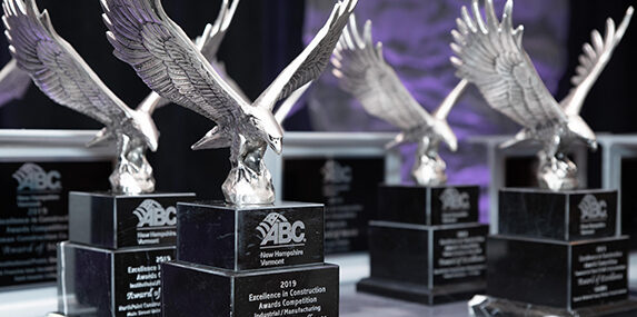Photograph of Eagle Award Trophies